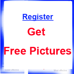 Get Free Pictures 
